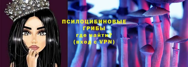 бутират Алзамай
