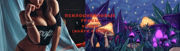 хмурый Алексеевка