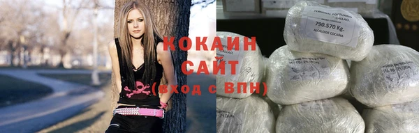 гидра Алексин