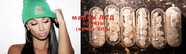гидра Алексин