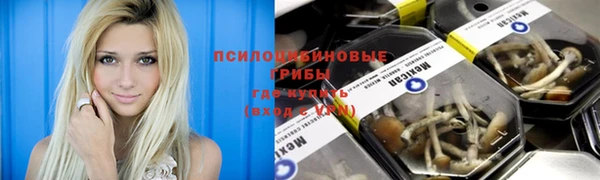гидра Алексин
