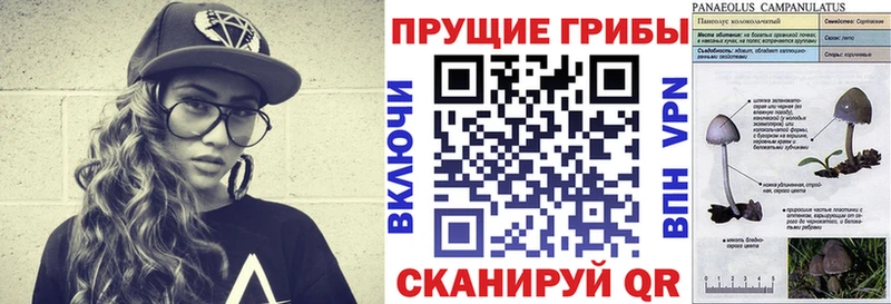 Галлюциногенные грибы MAGIC MUSHROOMS Краснообск